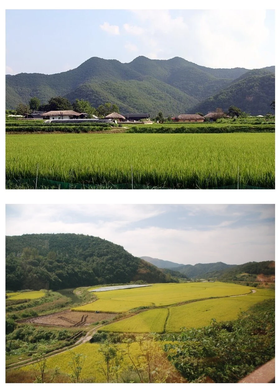 한국 농업이 비효율적인 이유_1.jpg.webp