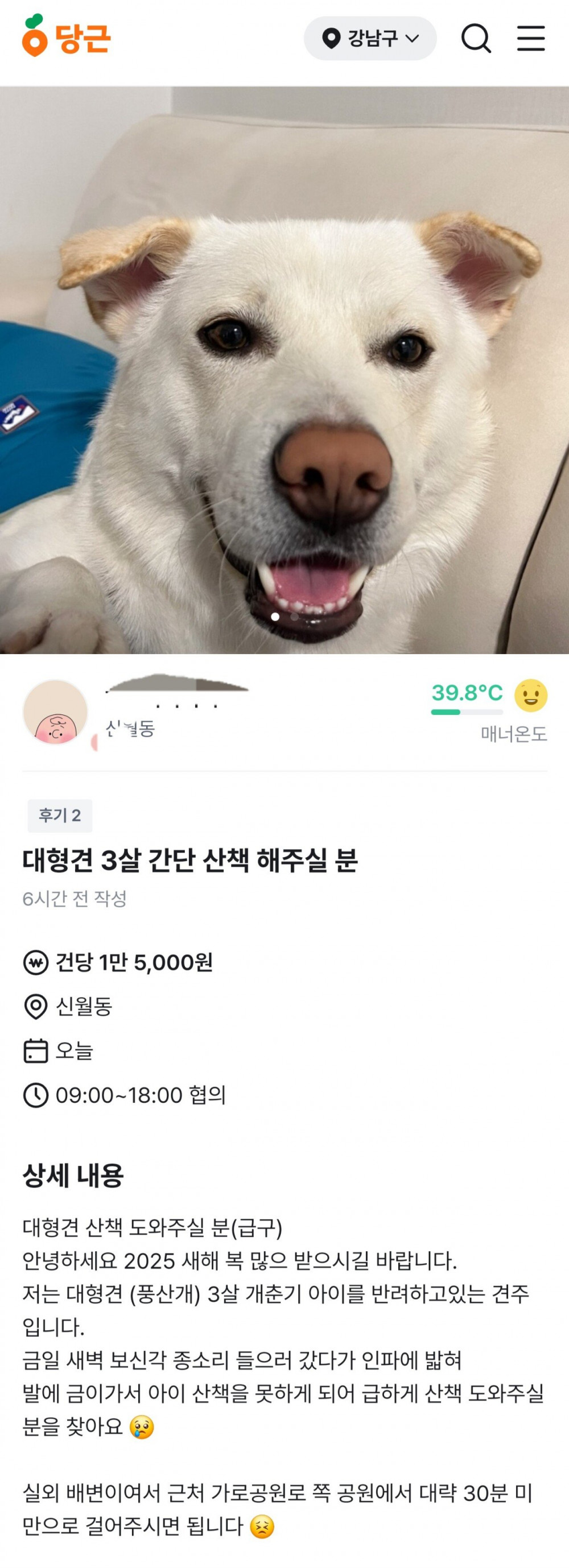 동네 강아지 산책 알바 40명 이상 지원 폭주중ㅋㅋ_1.jpg
