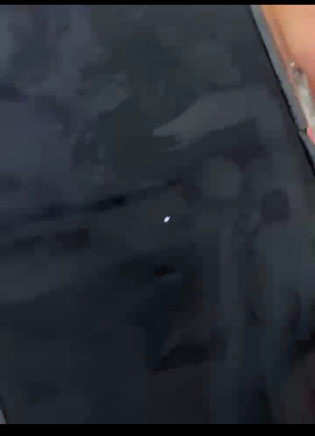 Screenshot_20250731_181350_Gallery.jpg